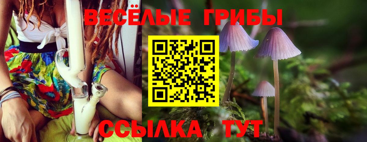 Галлюциногенные грибы MAGIC MUSHROOMS  Галлюциногенные грибы ЛСД  Вход с VPN  Буйнакск 