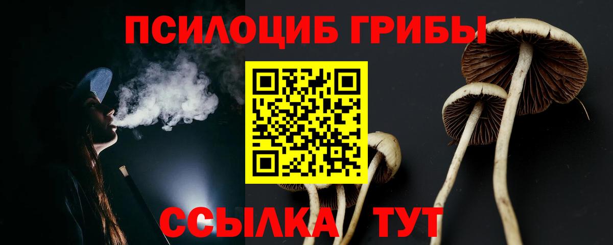 Галлюциногенные грибы ЛСД Буйнакск